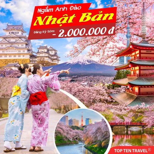 Tour Nhật Bản Mùa Anh Đào: Narita - Tokyo - Yamanashi - Nagoya - Osaka