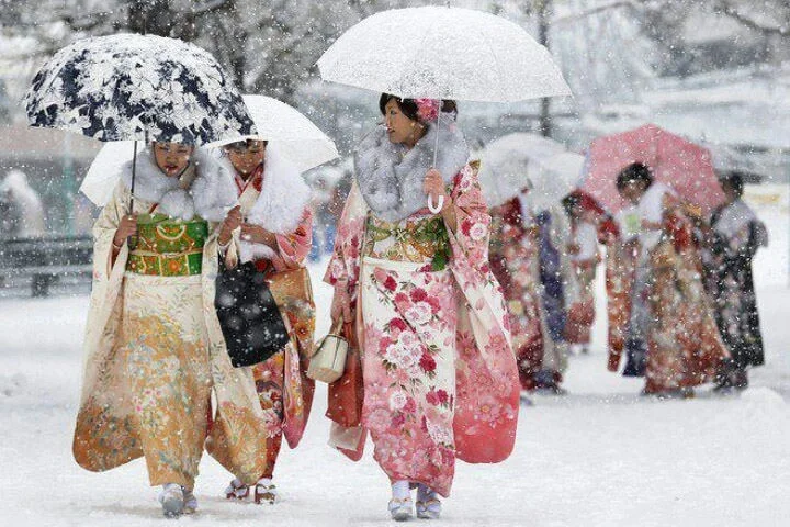 Tour Nhật Bản Mùa Hoa Tủ Đằng: Narita - Tokyo - Yamanashi - Kyoto - Osaka 6N5D