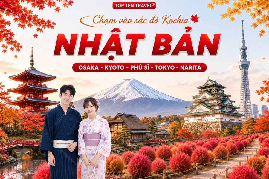 Tour Nhật Bản Mùa Hoa Kochia | Osaka - Kyoto - Tokyo