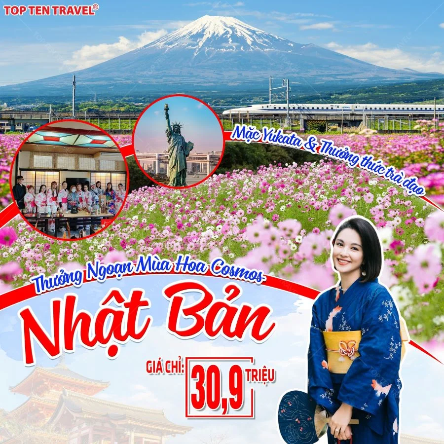 Du Lịch Nhật Bản Ngắm Hoa Cosmos: Tokyo - Yamanashi - Fuji - Nagoya - Kyoto - Osaka 6N5D