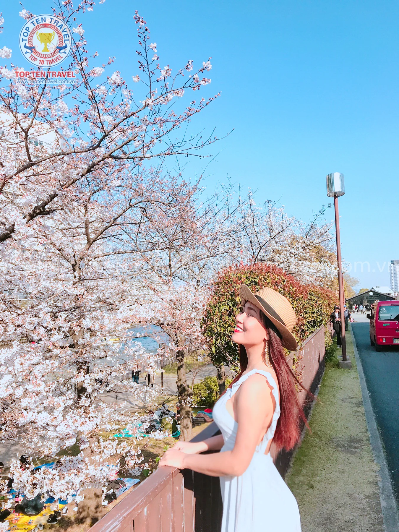 Tour Nhật Bản Mùa Anh Đào: Narita - Tokyo - Yamanashi - Nagoya - Osaka