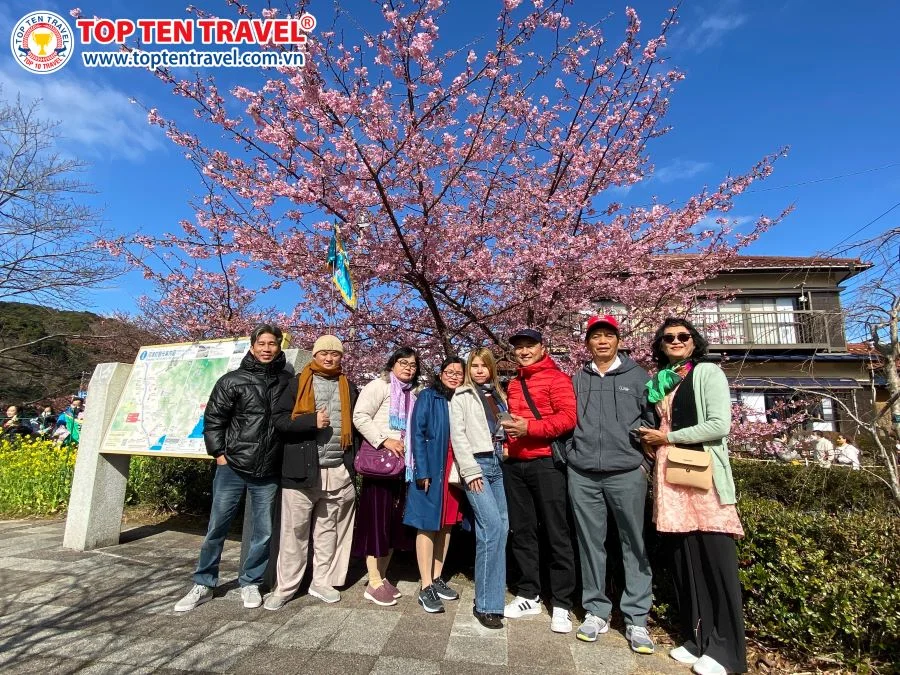 Tour Nhật Bản Mùa Hoa Shibazakura: Narita - Tokyo - Yamanashi - Kyoto - Osaka 6N5D
