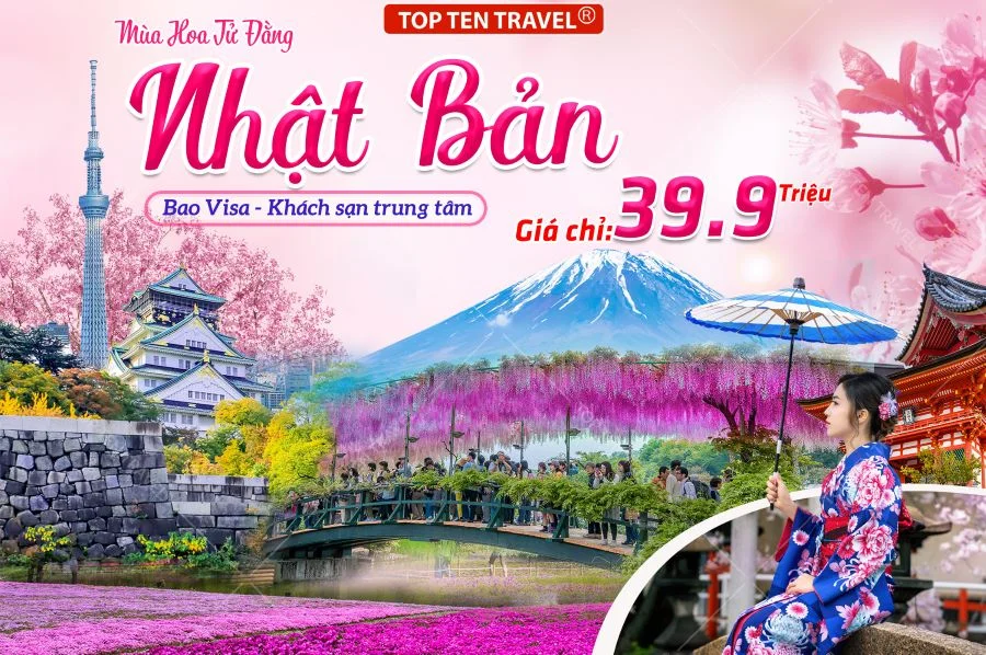 Tour Nhật Bản Ngắm Hoa Tử Đằng: Osaka - Kyoto - Nagoya - Tokyo - Fuji 6N5D