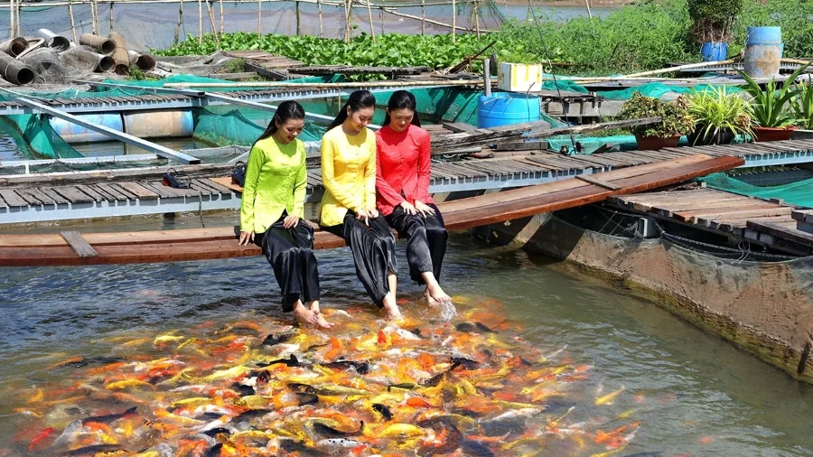 Tour Miền Tây: Cái Bè - Cần Thơ 2N1Đ