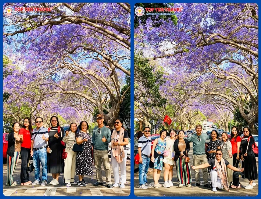 Du Lịch Úc: Quyến Rũ Mùa Phượng Tím: Mono Sydney | 5N4D