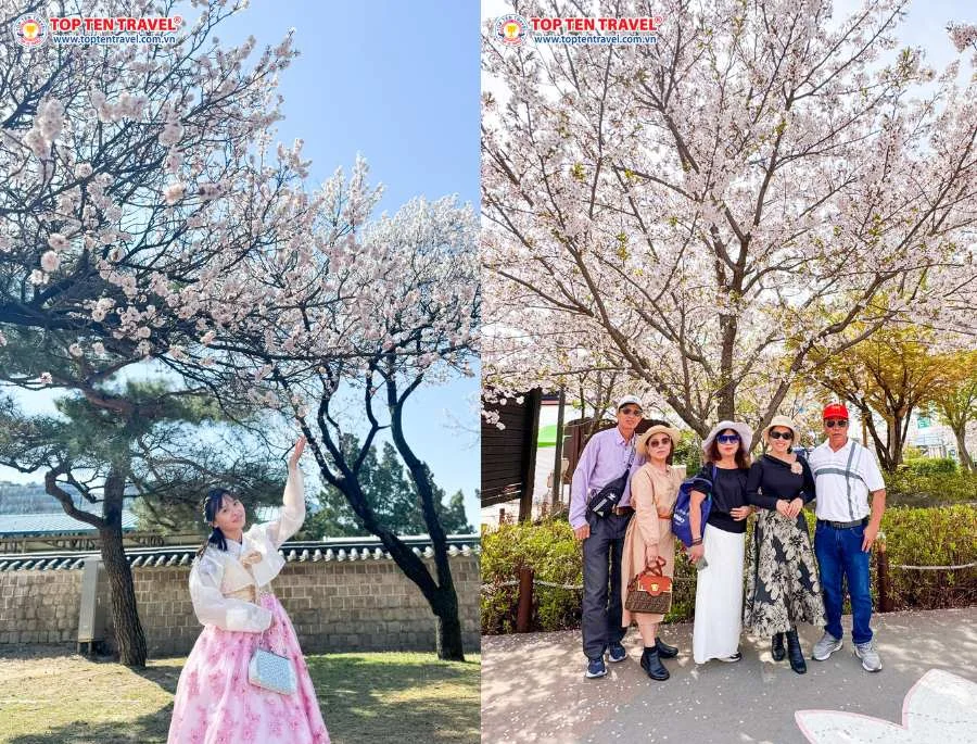 Tour Hàn Quốc du xuân 2026: Seoul - Nami - Everland 5N4Đ