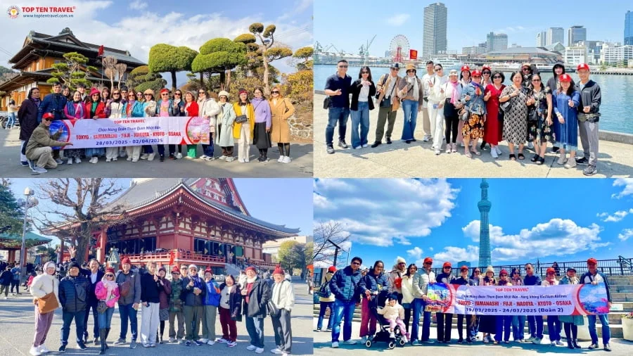 Tour Nhật Bản Mùa Hướng Dương: Narita - Tokyo - Phú Sĩ - Yamanashi (No shop)