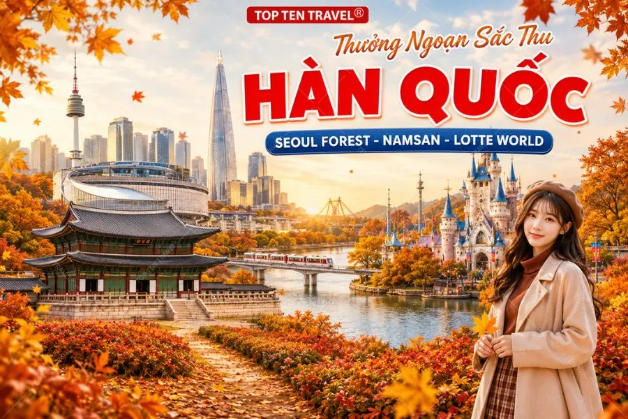 Tour Hàn Quốc Mùa Thu 2026 | Seoul Forest - Namsan - Lotte World 4N5D