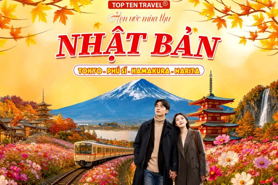 Tour Nhật Bản Mùa Hoa Cosmos: Tokyo - Nagoya - Kyoto - Osaka