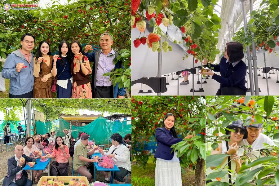 Tour Nhật Bản Mùa Đông 2026 | Osaka - Kyoto - Shizuoka - Tokyo