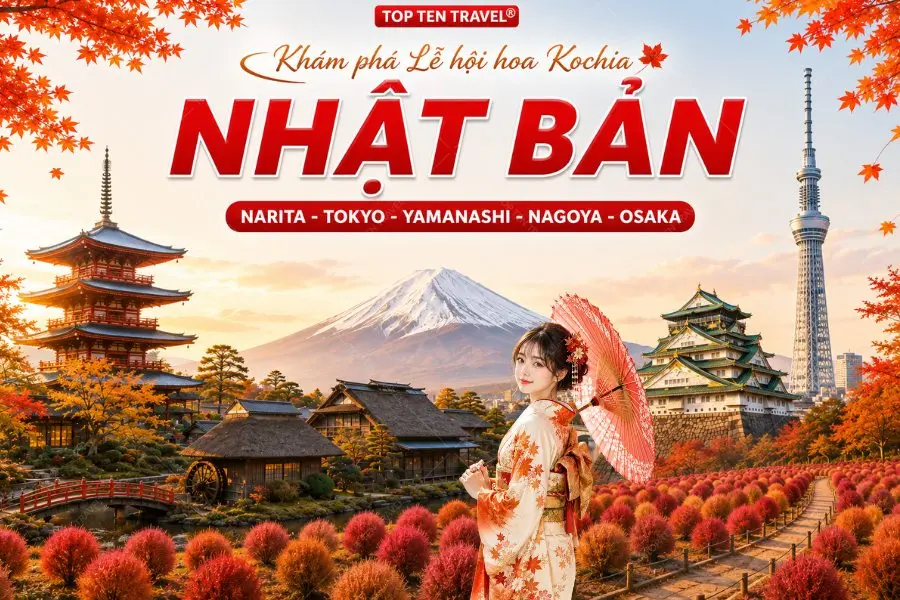 Tour Nhật Bản Mùa Hoa Kochia | Narita - Tokyo - Yamanashi - Osaka 5N4D