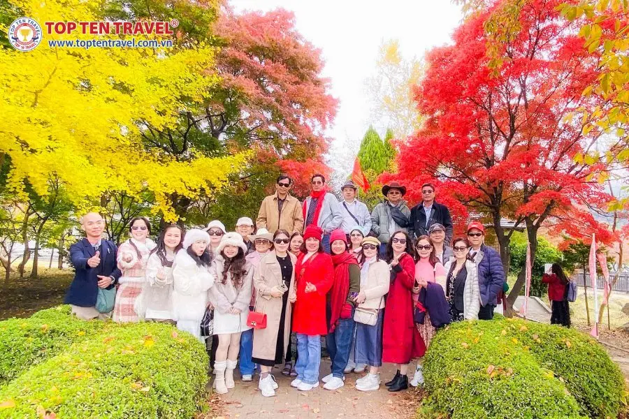 Tour Nhật Bản Mùa Hoa Kochia | Narita - Tokyo - Yamanashi - Osaka 5N4D
