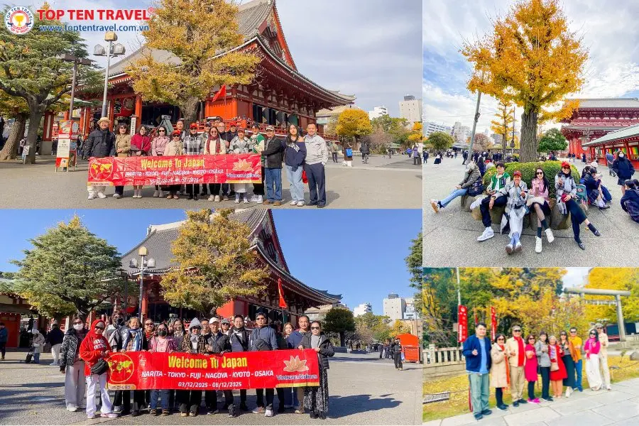 Tour Nhật Bản Mùa Hoa Kochia | Osaka - Kyoto - Tokyo