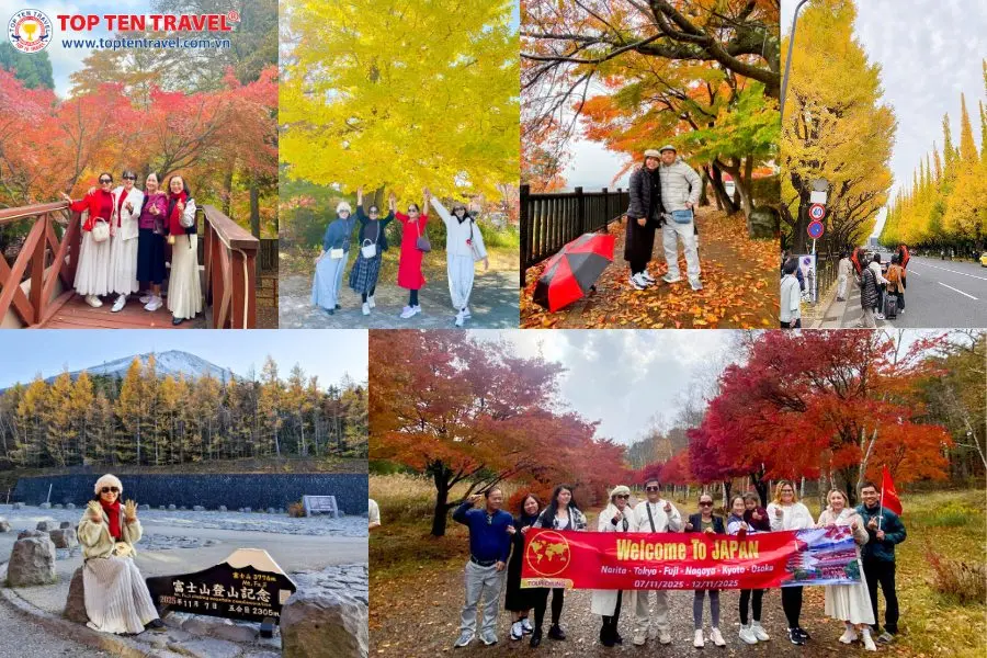 Tour Nhật Bản Mùa Thu 2026 | Narita - Tokyo - Kyoto - Osaka 5N4D