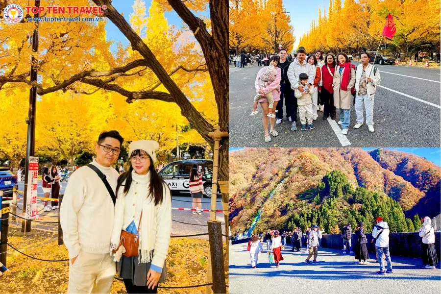 Du lịch Nhật Bản Mùa Thu - Ngắm hoa Anh Đào Trái Mùa