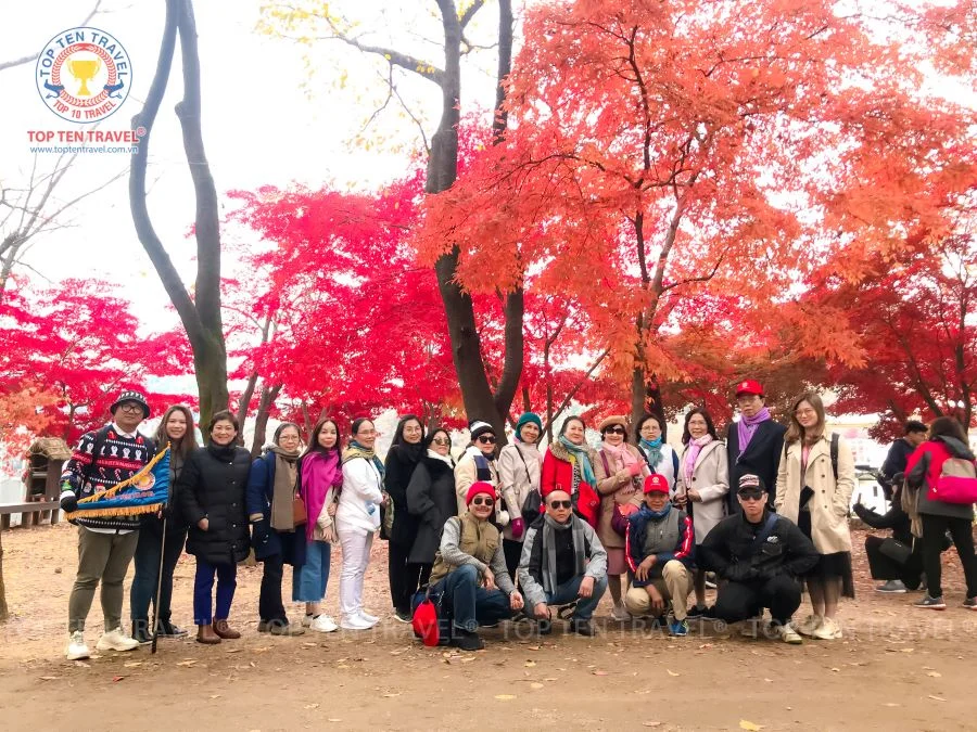 Tour Hàn Quốc Mùa Thu Giá Tốt | Seoul - Nami - Everland