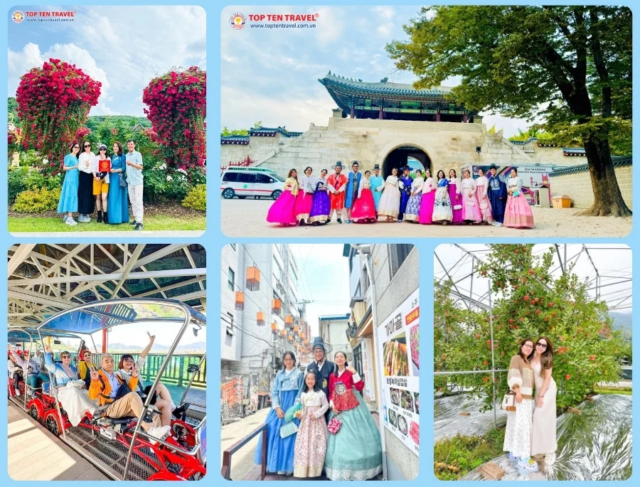 Tour Hàn Quốc Mùa Thu 2026 | Busan - Yeosu 5N5D