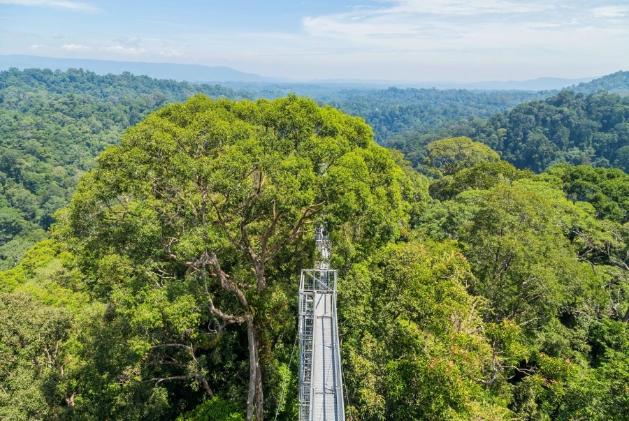 Brunei sở hữu vô vàn cảnh sắc thiên nhiên tuyệt đẹp