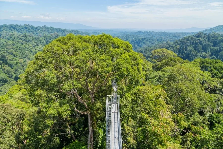 Brunei sở hữu vô vàn cảnh sắc thiên nhiên tuyệt đẹp