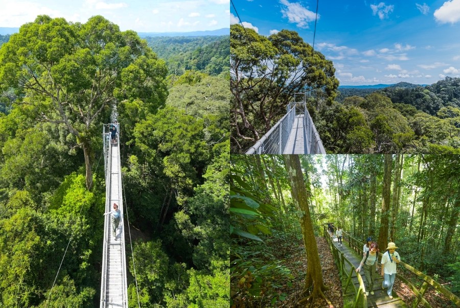 Công viên quốc gia Ulu Temburong là một trong những địa điểm check-in thiên nhiên nổi tiếng nhất của Brunei
