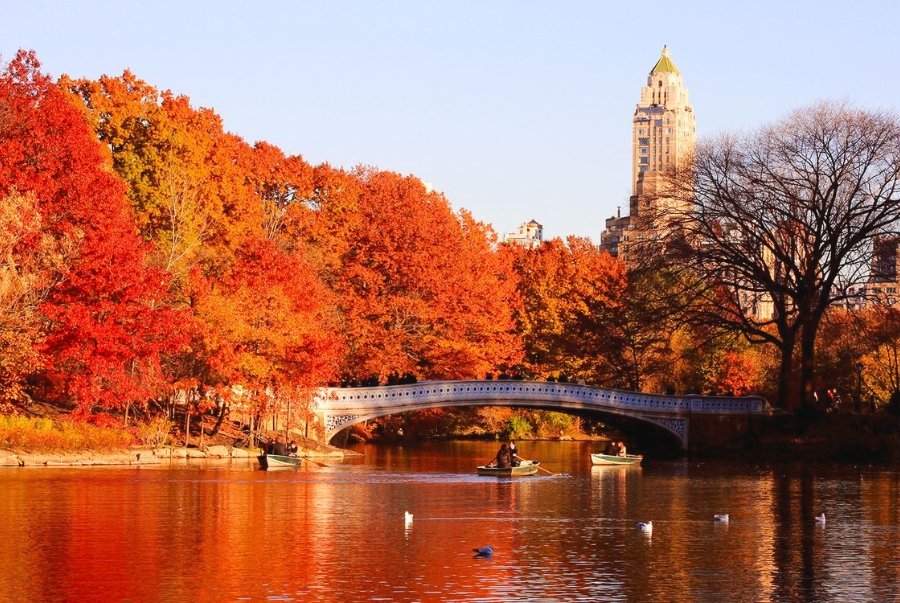 Central Park trở nên thơ mộng hơn mỗi khi mùa thu về