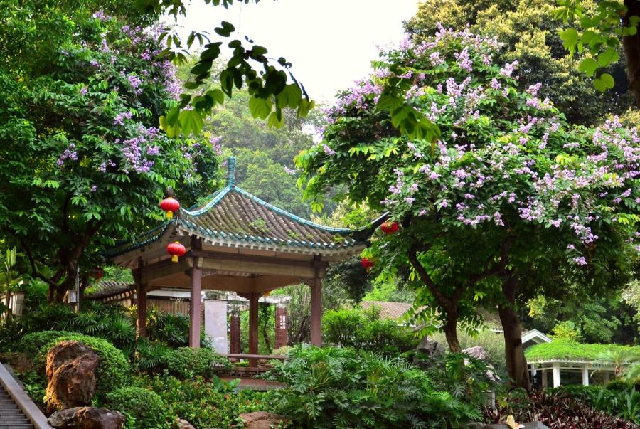 Tham quan không gian xanh mát của Quảng Châu tại các khu công viên