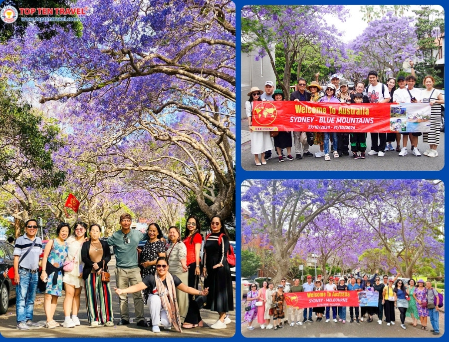 Đoàn khách Top Ten Travel khám phá mùa hoa phượng tím rực rỡ tại Úc