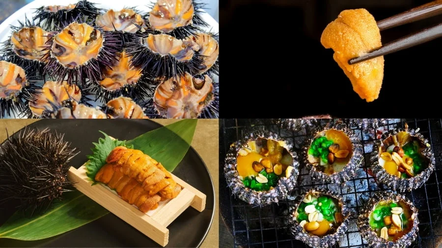 Nếu bạn là tín đồ của hương vị biển cả tinh túy, nhum biển nướng chắc chắn là món ăn bạn không thể bỏ lỡ khi đi du lịch Jeju