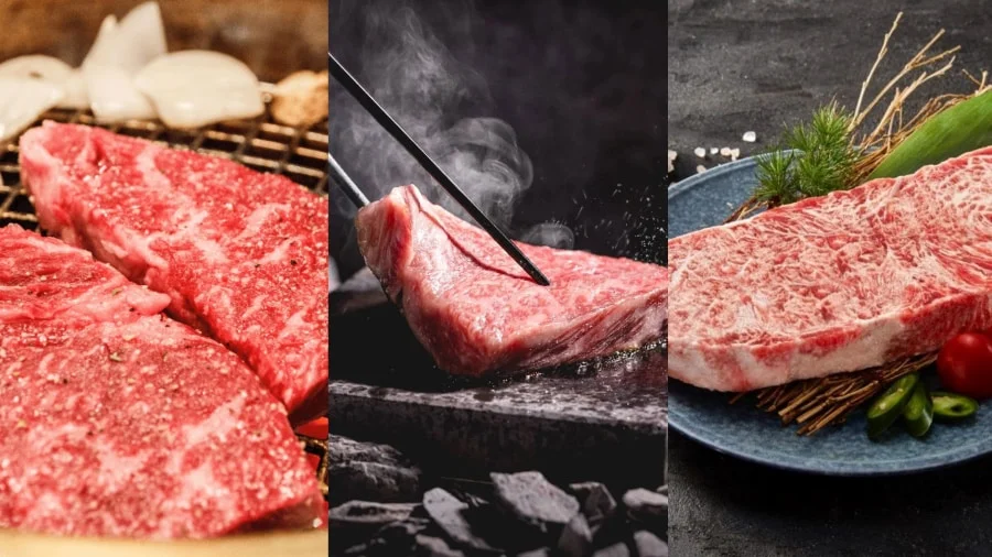 Du lịch Kobe mà không thưởng thức Bò Kobe thì quả là một thiếu sót lớn