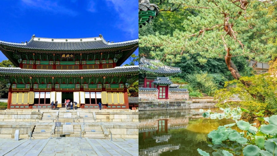 Cung điện Changdeokgung – Di sản thế giới UNESCO, được nhiều du khách yêu thích