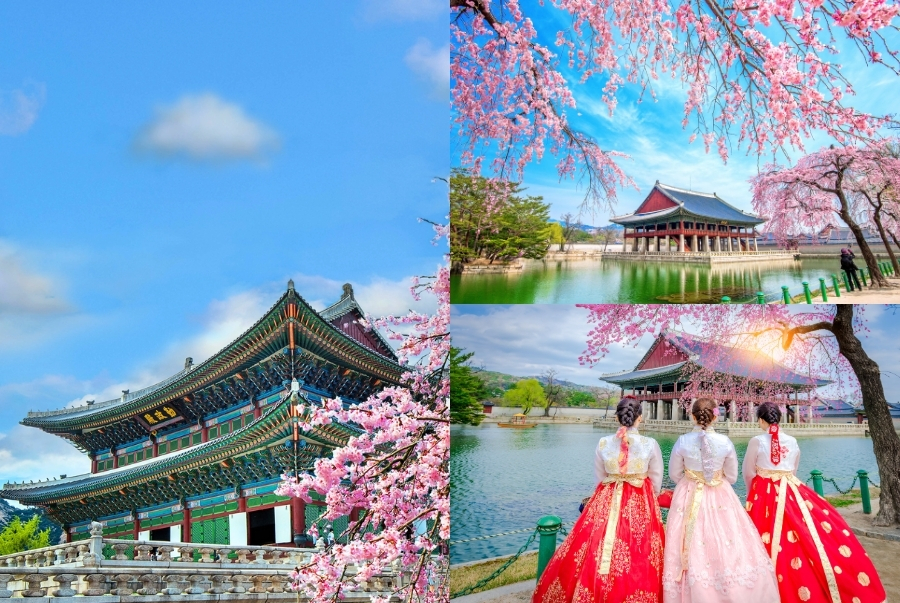 Cung điện Gyeongbokgung là điểm đến không thể thiếu trong mọi chuyến du xuân