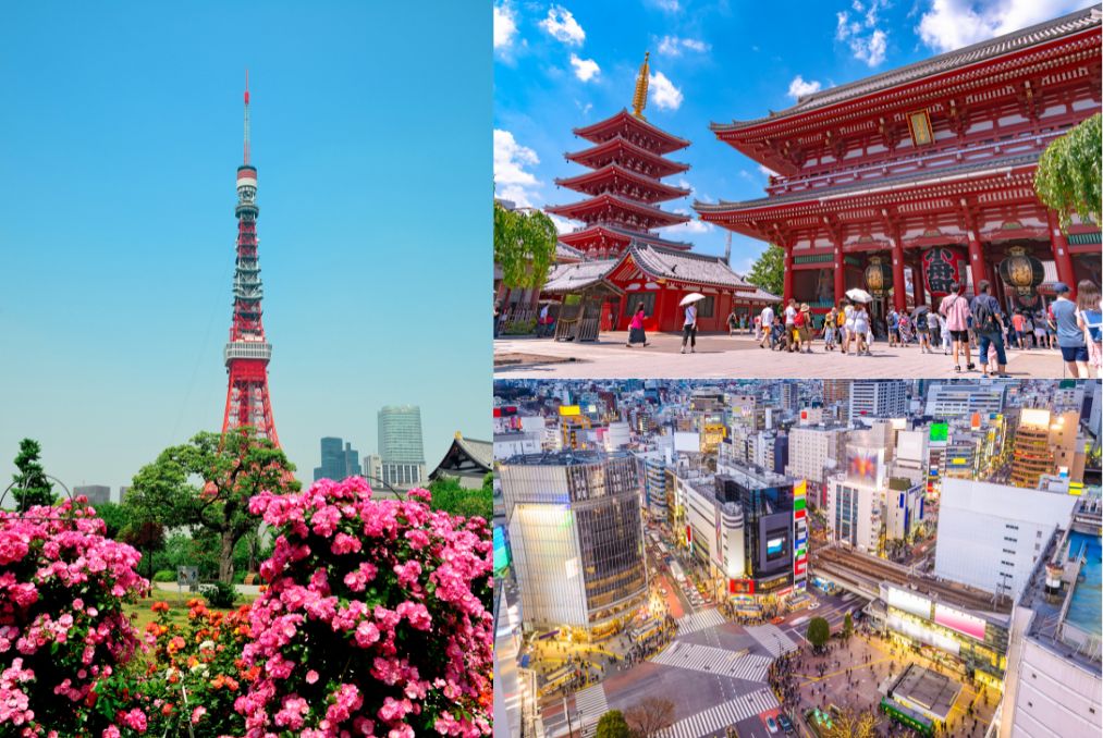 Thủ đô Tokyo sôi động và hiện đại bậc nhất Châu Á luôn là điểm khởi đầu hoàn hảo cho hành trình du xuân Nhật Bản