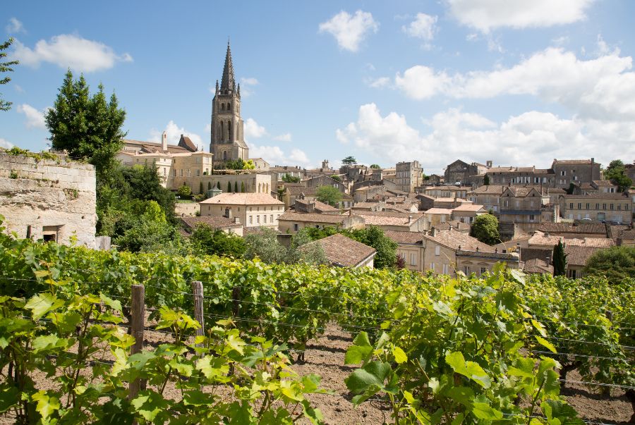 Bordeaux là vùng sản xuất rượu vang danh tiếng hàng đầu thế giới