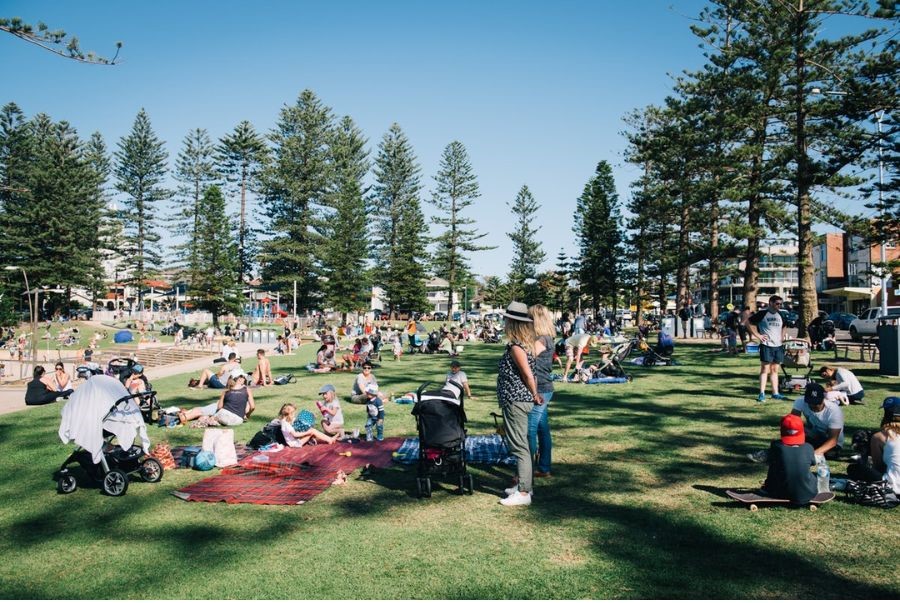 Picnic tại các công viên để tận hưởng không khí mùa xuân của Sydney