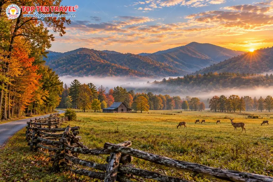 Cades Cove mang vẻ đẹp thanh bình của thung lũng cổ nằm giữa những dãy núi phủ rừng