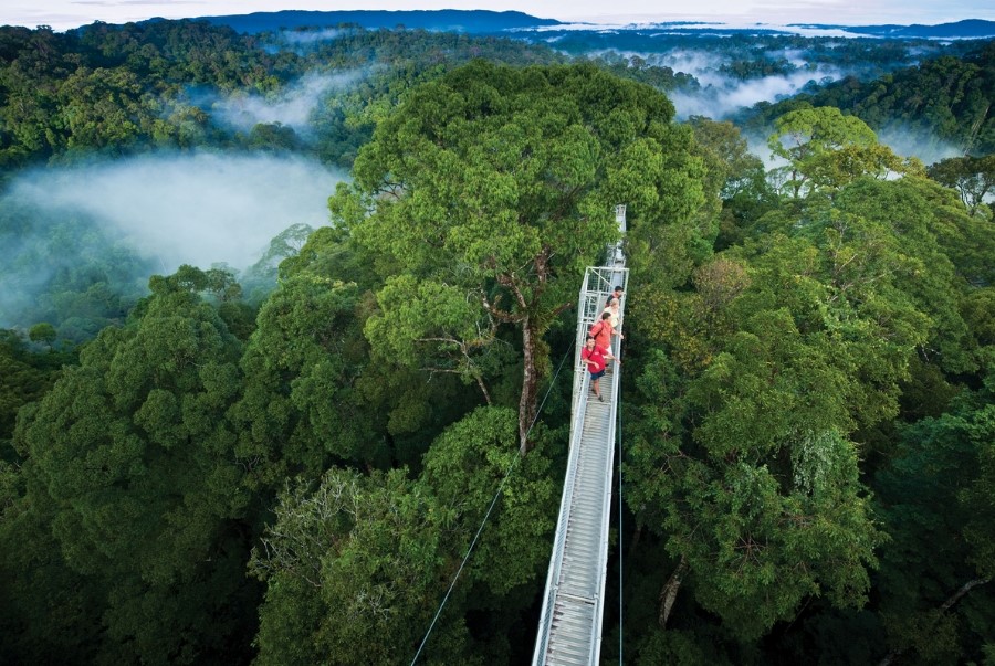 Rừng quốc gia Ulu Temburong là khu bảo tồn quốc gia đầu tiên của Brunei