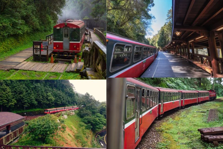 Trải nghiệm chuyến tàu cổ Alishan Forest Railway là một hoạt động thú vị trong suốt hành trình du lịch Đài Loan