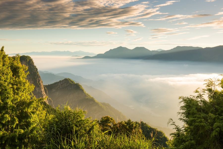 Alishan được ví như Xứ Sở Mây Trời với hình ảnh sương mù giăng lối và phong cảnh ngoạn mục vô cùng rực rỡ