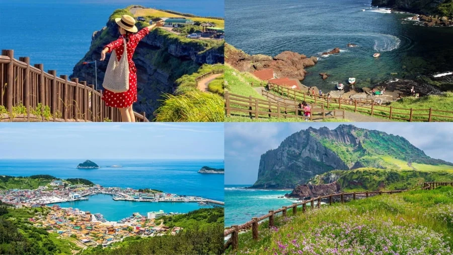 Khung cảnh thơ mộng, lãng mạn mà bạn chỉ có thể tìm thấy tại Jeju Hàn Quốc