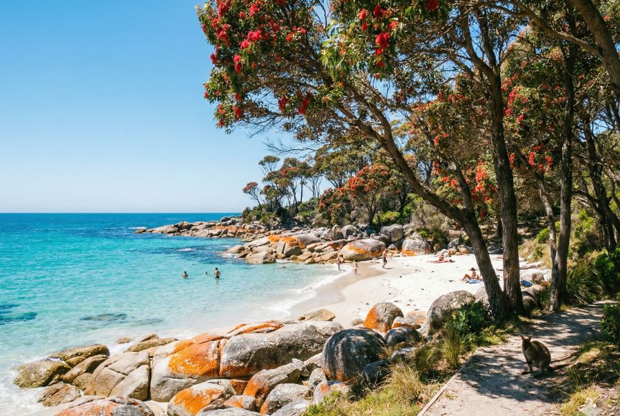 Tasmania chào đón mùa hè với nền nhiệt mát mẻ, chỉ giao động trong khoảng từ 12 đến 22 độ c