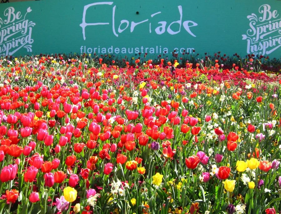 Floriade Festival - Lễ hội hoa mùa xuân lớn nhất tại nước Úc vào mùa xuân