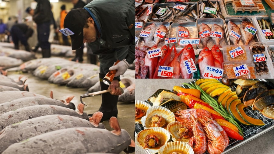 Bắt đầu 1 ngày tại Tokyo đầy hứng khởi từ lúc 07h00 tại Chợ cá Toyosu