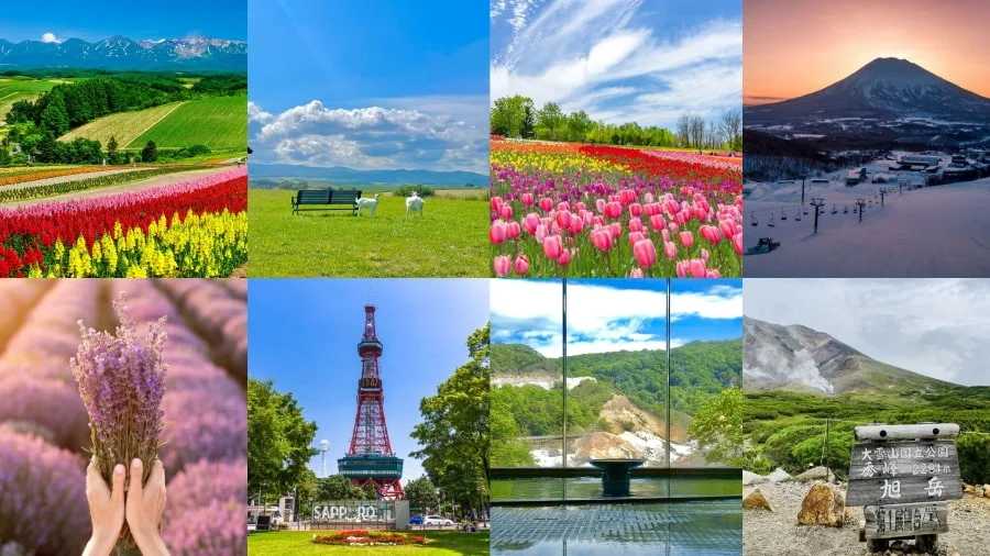 Du lịch Hokkaido hứa hẹn mang đến những trải nghiệm khó quên, đủ sức làm say lòng bất kỳ du khách nào