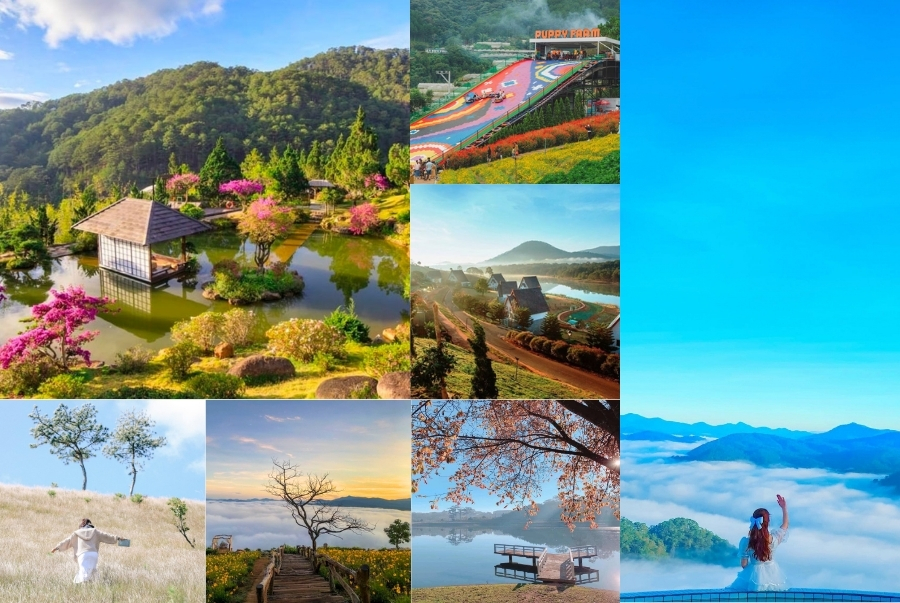 Đà Lạt luôn nằm trong danh sách các điểm du lịch Tết trong nước rất được yêu thích