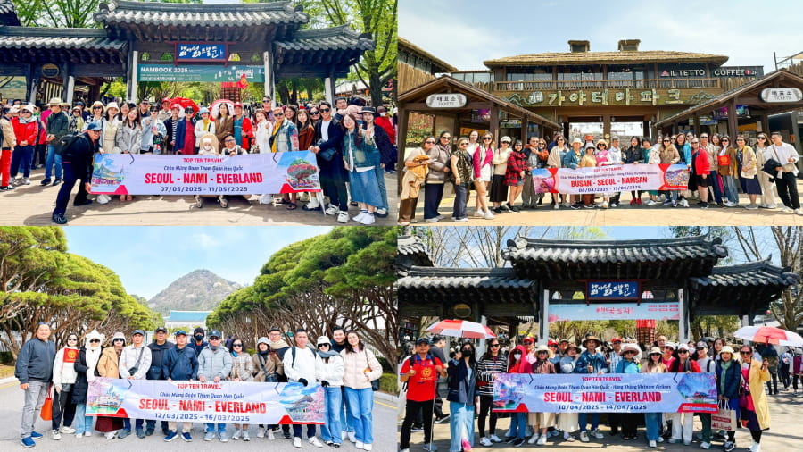 Các vị khách đã tin tưởng và lựa chọn những tour du lịch Hàn Quốc tại Top Ten Travel