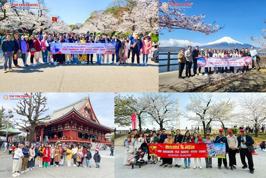 Đoàn khách Top Ten Travel khám phá bức tranh mùa xuân đẹp nhất của Nhật Bản
