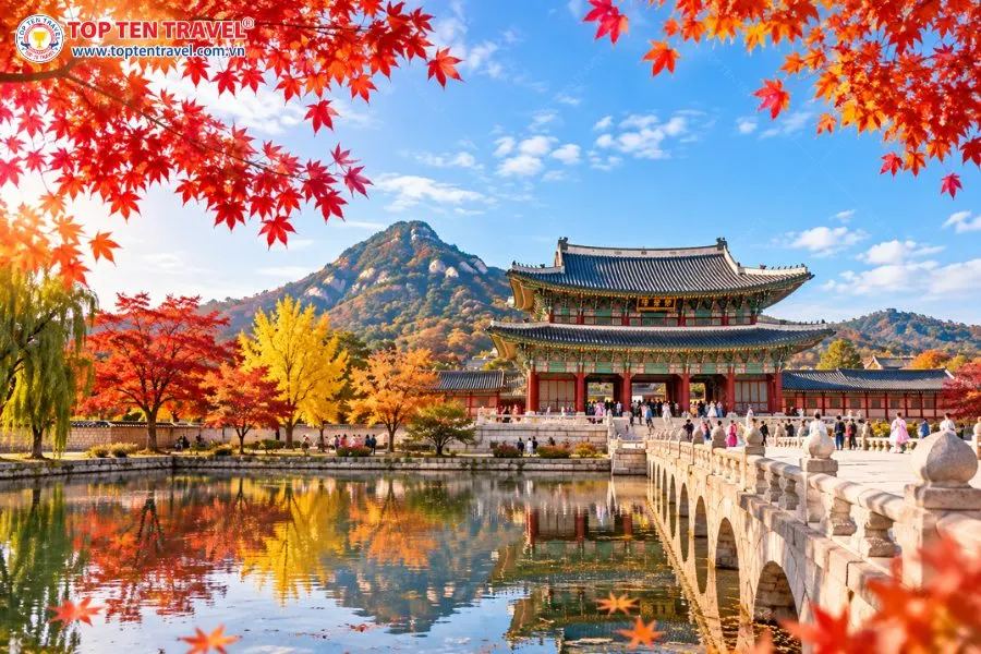 Cung điện Gyeongbokgung thực sự là một điểm đến lý tưởng để chiêm ngưỡng vẻ đẹp của mùa thu Hàn Quốc