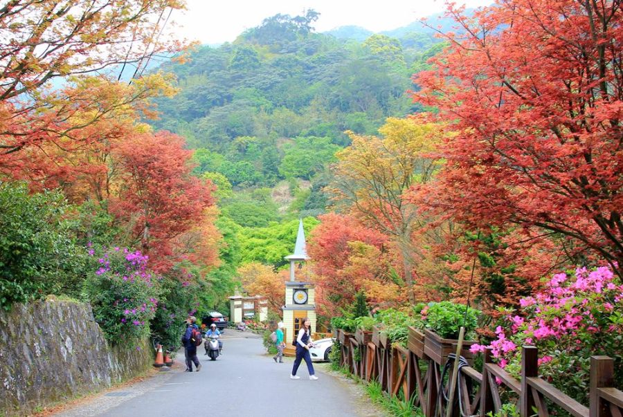 Yangmingshan National Park sở hữu nhiều cung đường trekking đa dạng, phù hợp với mọi đối tượng