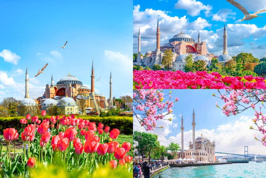 Mùa xuân Thổ Nhĩ Kỳ mang một vẻ đẹp tràn đầy sức sống với những thảm hoa tulip rực rỡ