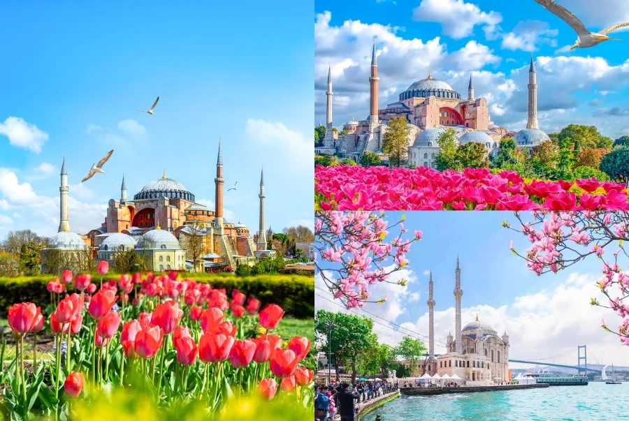 Mùa xuân Thổ Nhĩ Kỳ mang một vẻ đẹp tràn đầy sức sống với những thảm hoa tulip rực rỡ